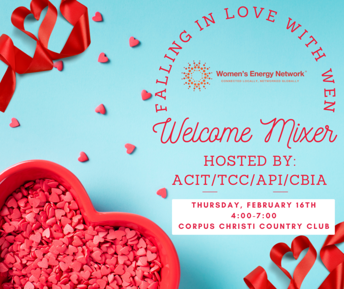 Wen Mixer  Wen Mixer